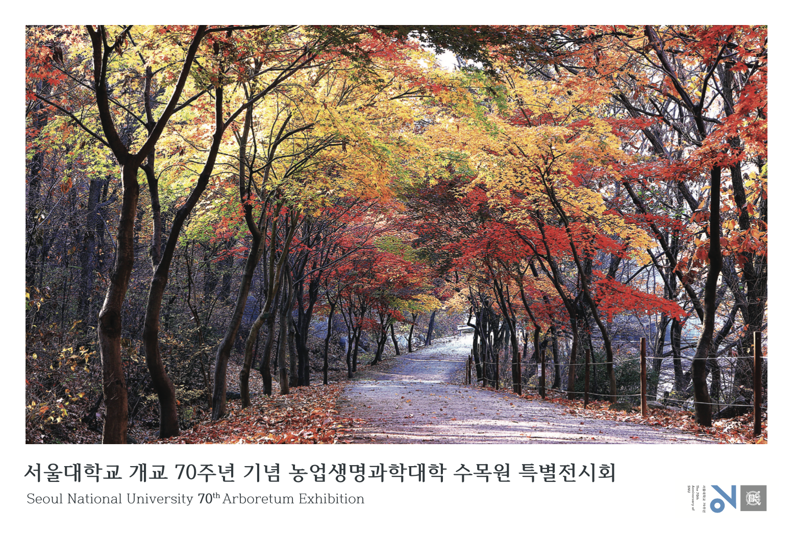 6ddff7e8304f4.png