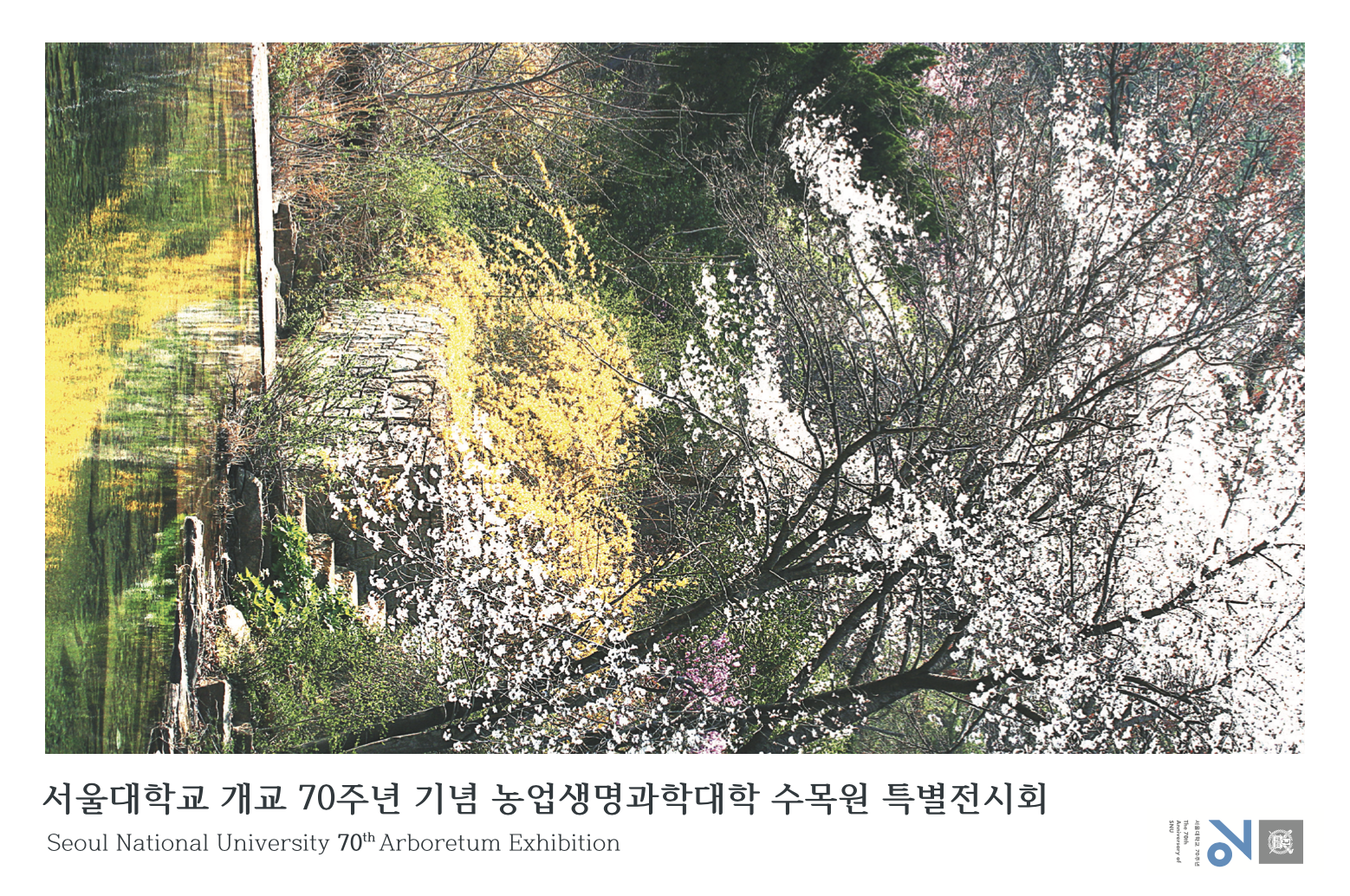 944ebc5b4d4a5.png