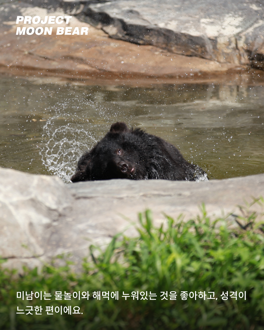미남03.jpg