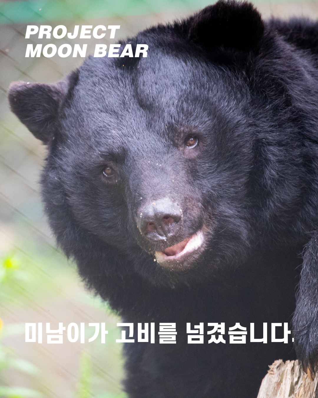 미남회복01.jpg