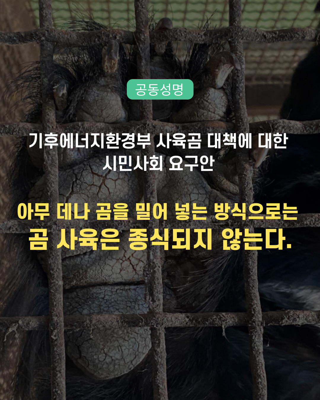 KakaoTalk_20260909_032758175.jpg