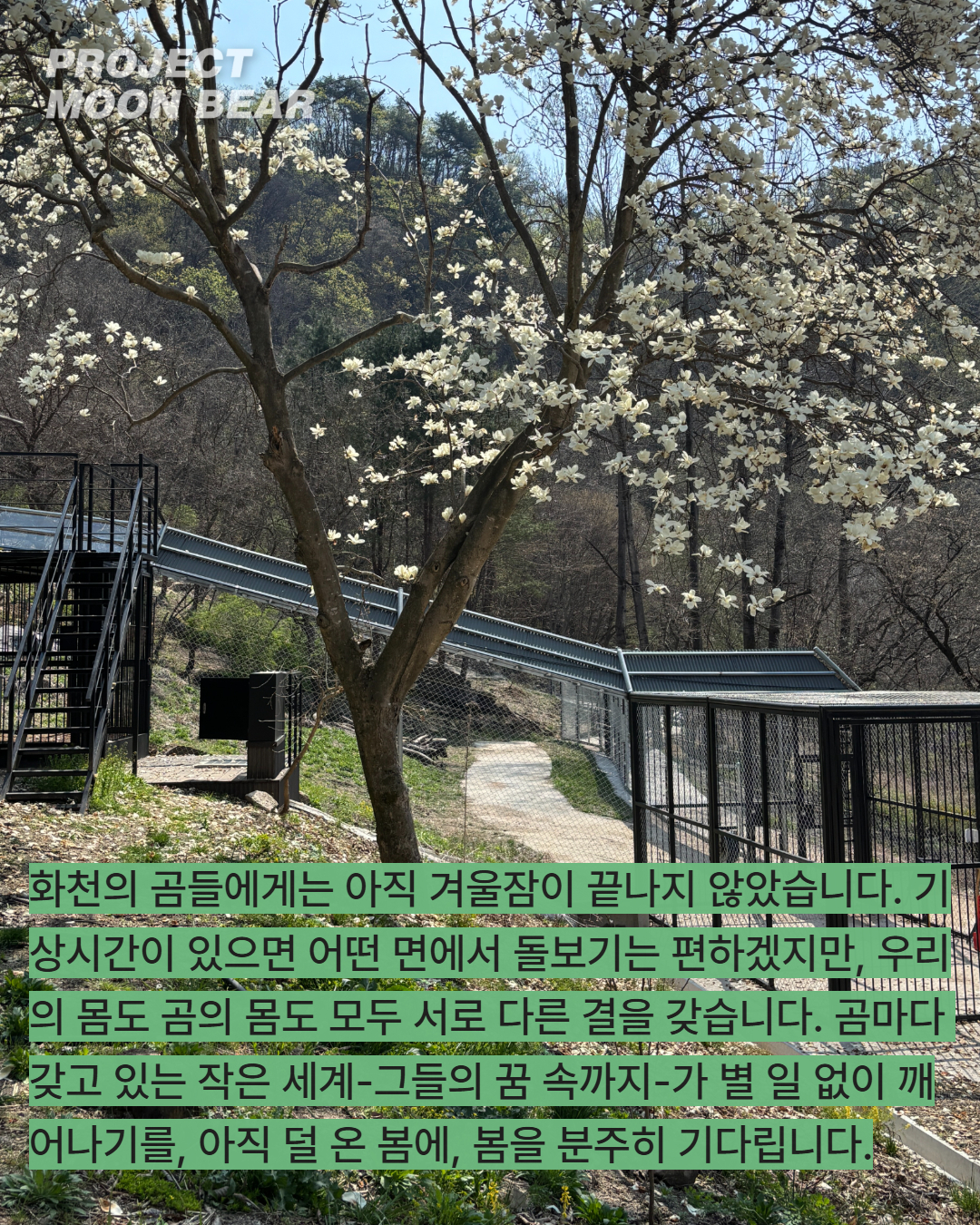 8c3f13c09045a.jpg