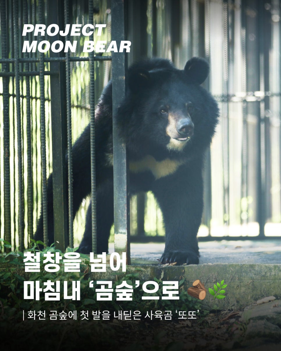 또또01.jpg