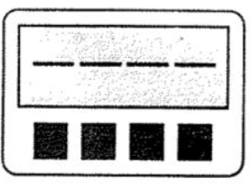비밀번호 설정 화면