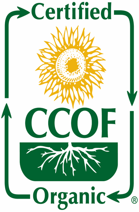 30a0501aac129.png