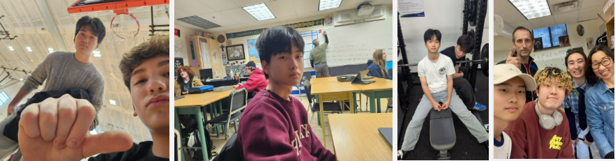 1d8a655552496.png