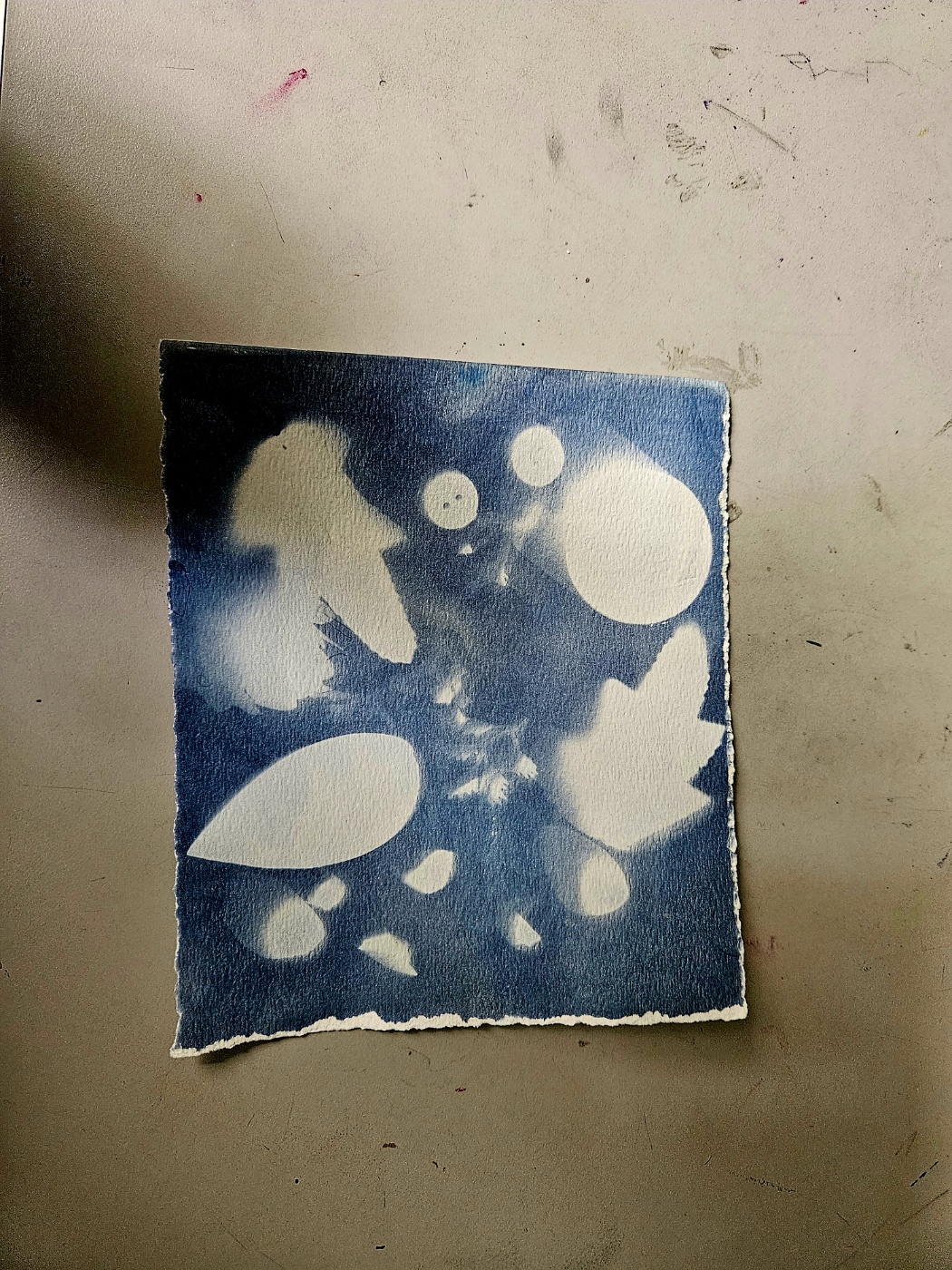 1e28e70533f56.jpg