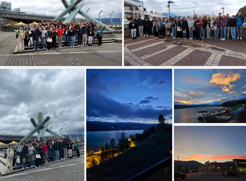 ac8315205d89a.png