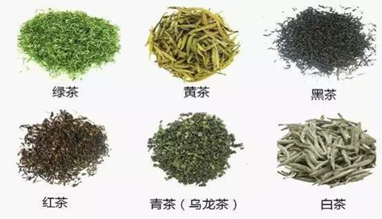 7d891a75d6476.png