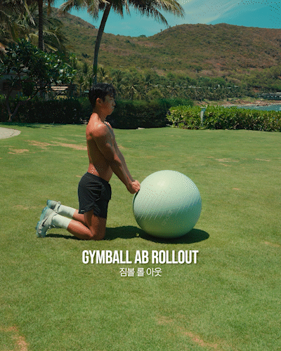 짐볼,롤,아웃,롤아웃,Gymball,Roll,Out,RollOut