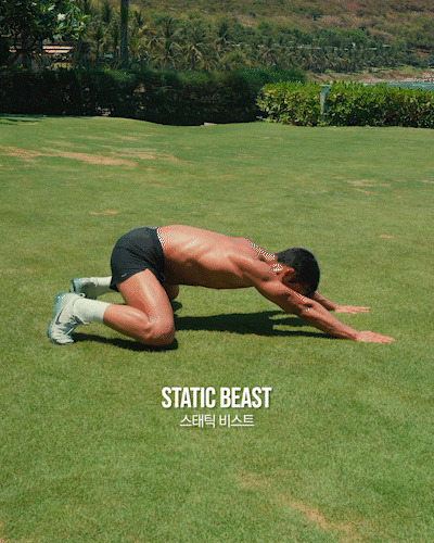 스태틱,비스트,Static,Beast