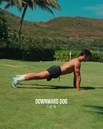 다운독,DownwardDog