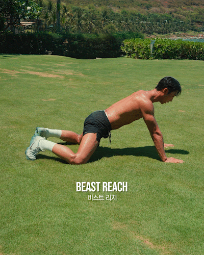 비스트,리치,Beast,Reach