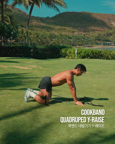 쿡밴드,네발기기,Y레이즈,Cookband,Quadruped,Y-raise,Yraise