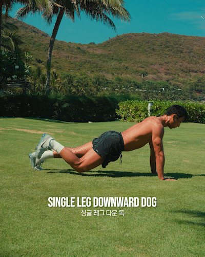 다운독,햄스트링,종아리,스트레칭,DownwardDog,Hamstring,Stretch,Stretches
