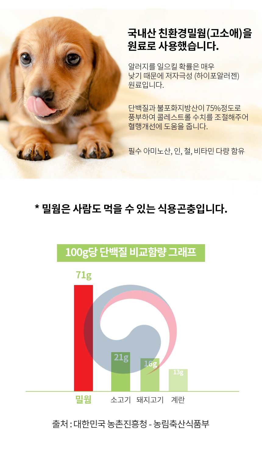 푸드/비건테라피 50g(사입전용)