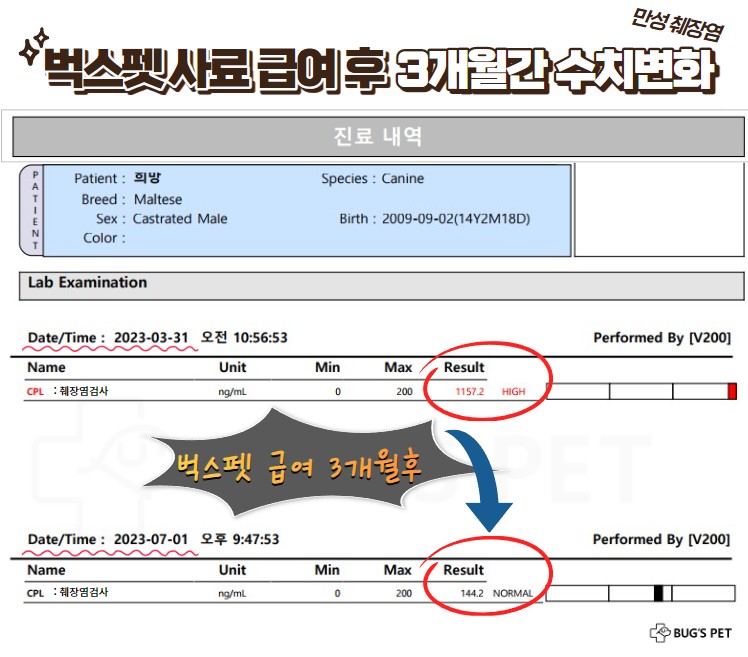 벅스독 프리미엄 이더블 인섹트 샘플 30g(위탁전용)