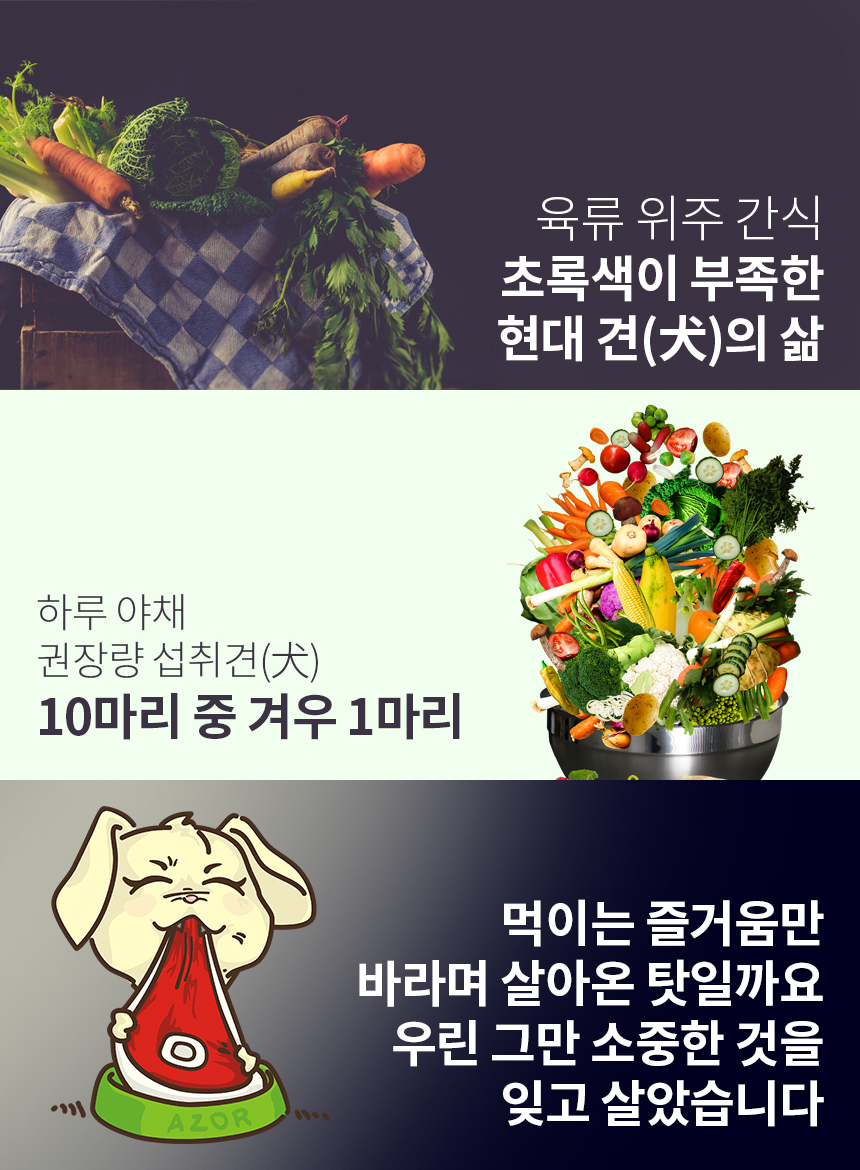푸드/비건테라피 50g(사입전용)