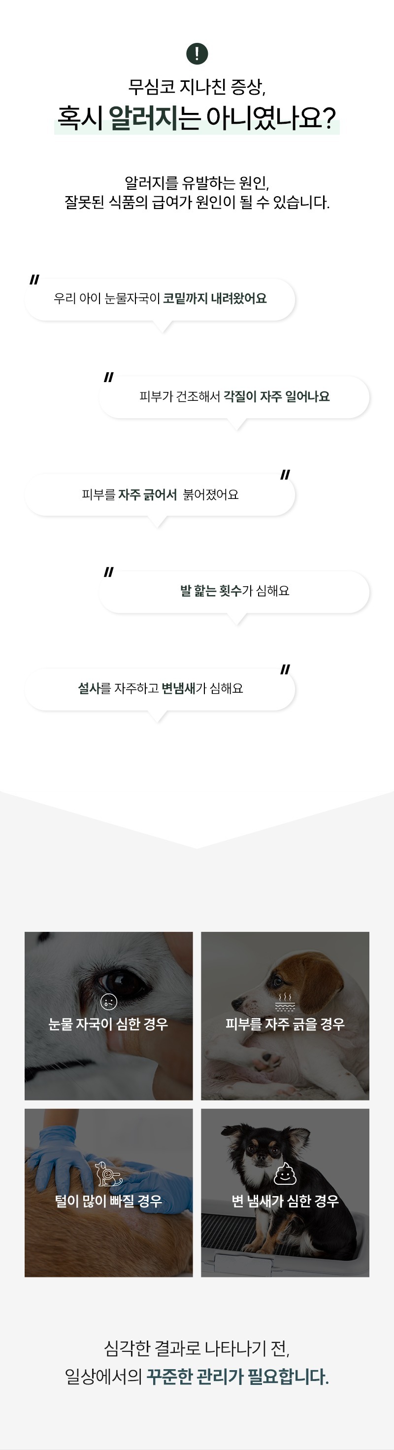 벅스독 비건포뮬러 샘플 30g(사입전용)
