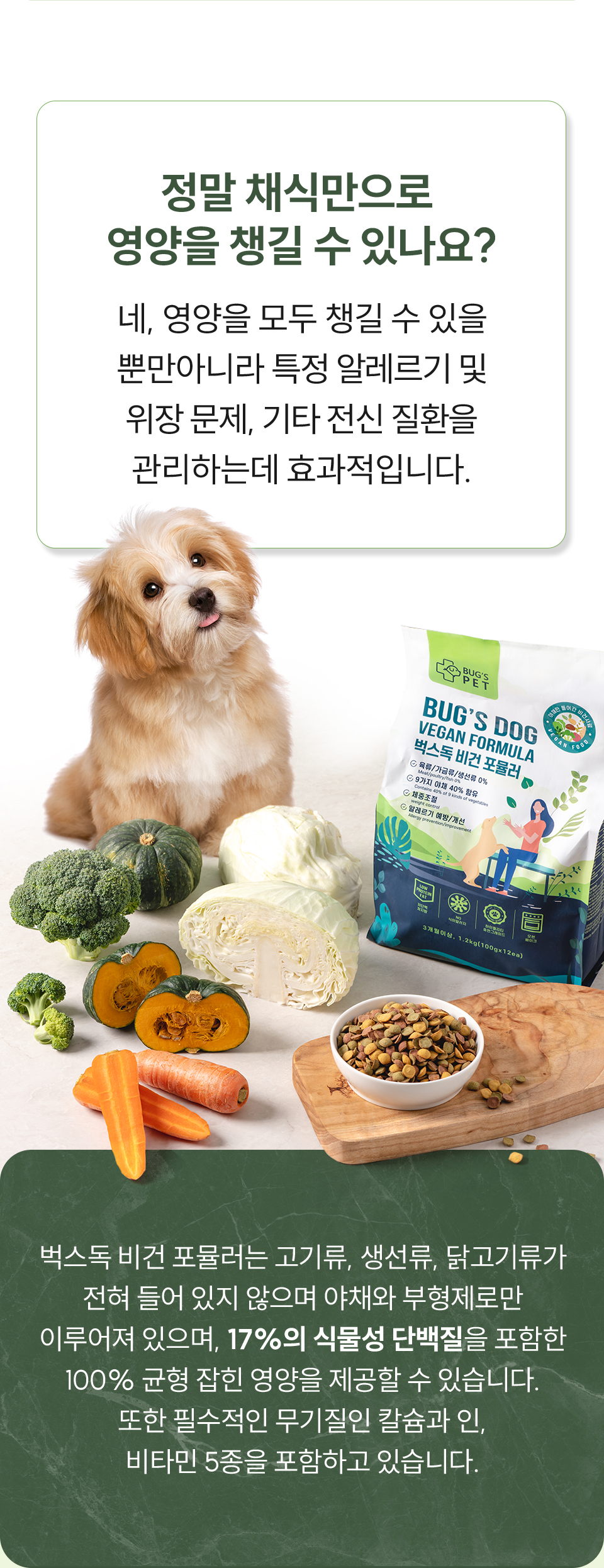 비건 세트