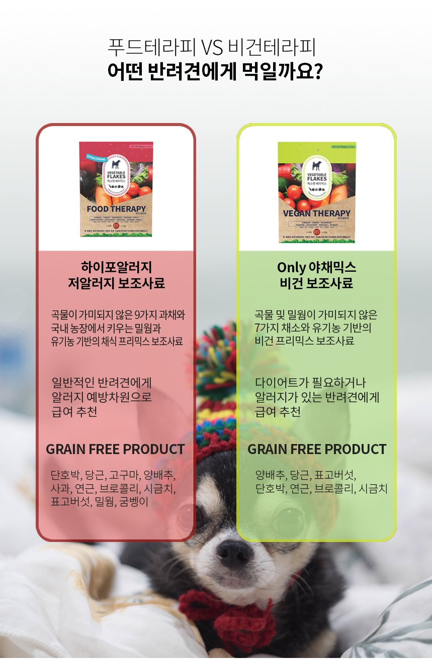 푸드/비건테라피 50g(사입전용)