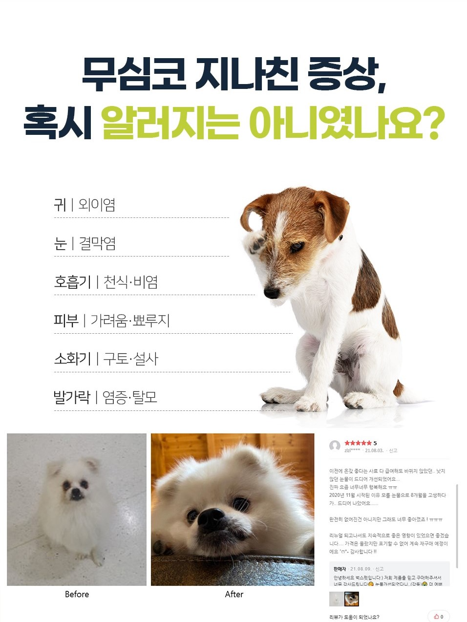 벅스독 오리지널 샘플 30g(사입전용)