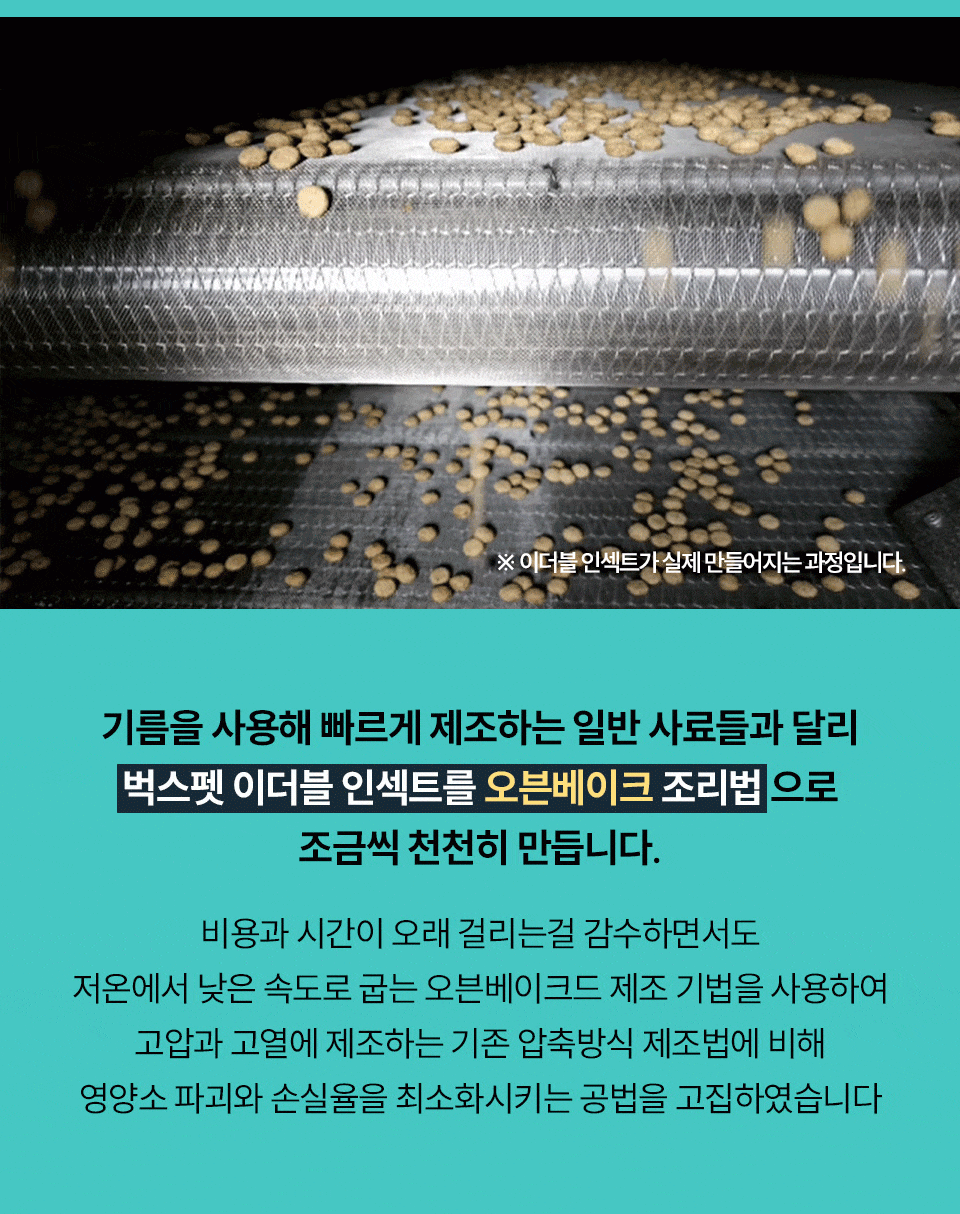 벅스독 프리미엄 이더블 인섹트 샘플 30g(위탁전용)
