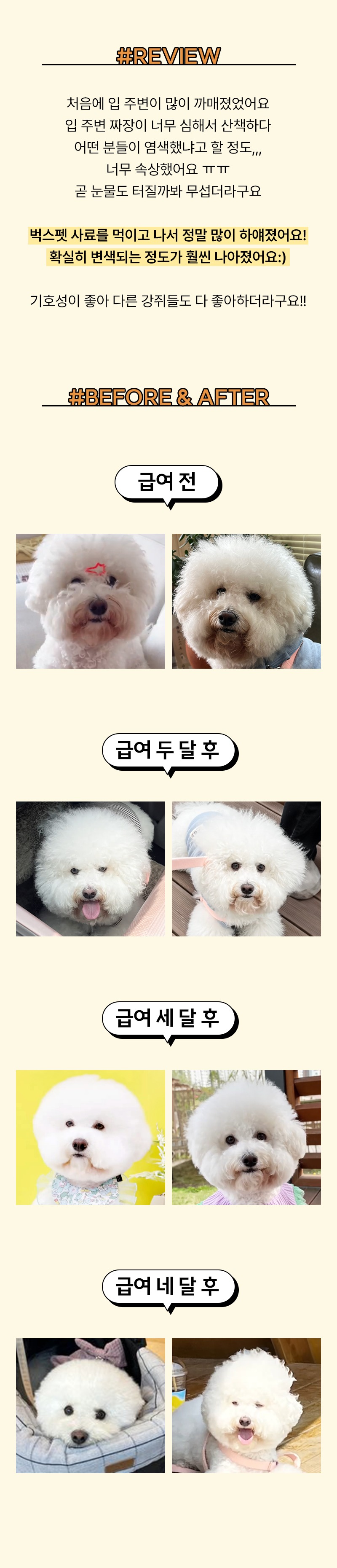 벅스독 비건포뮬러 샘플 30g(사입전용)