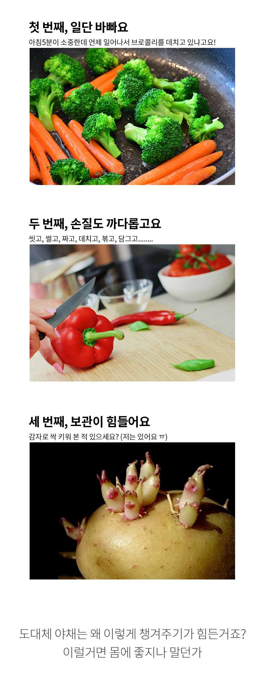 푸드/비건테라피 50g(사입전용)