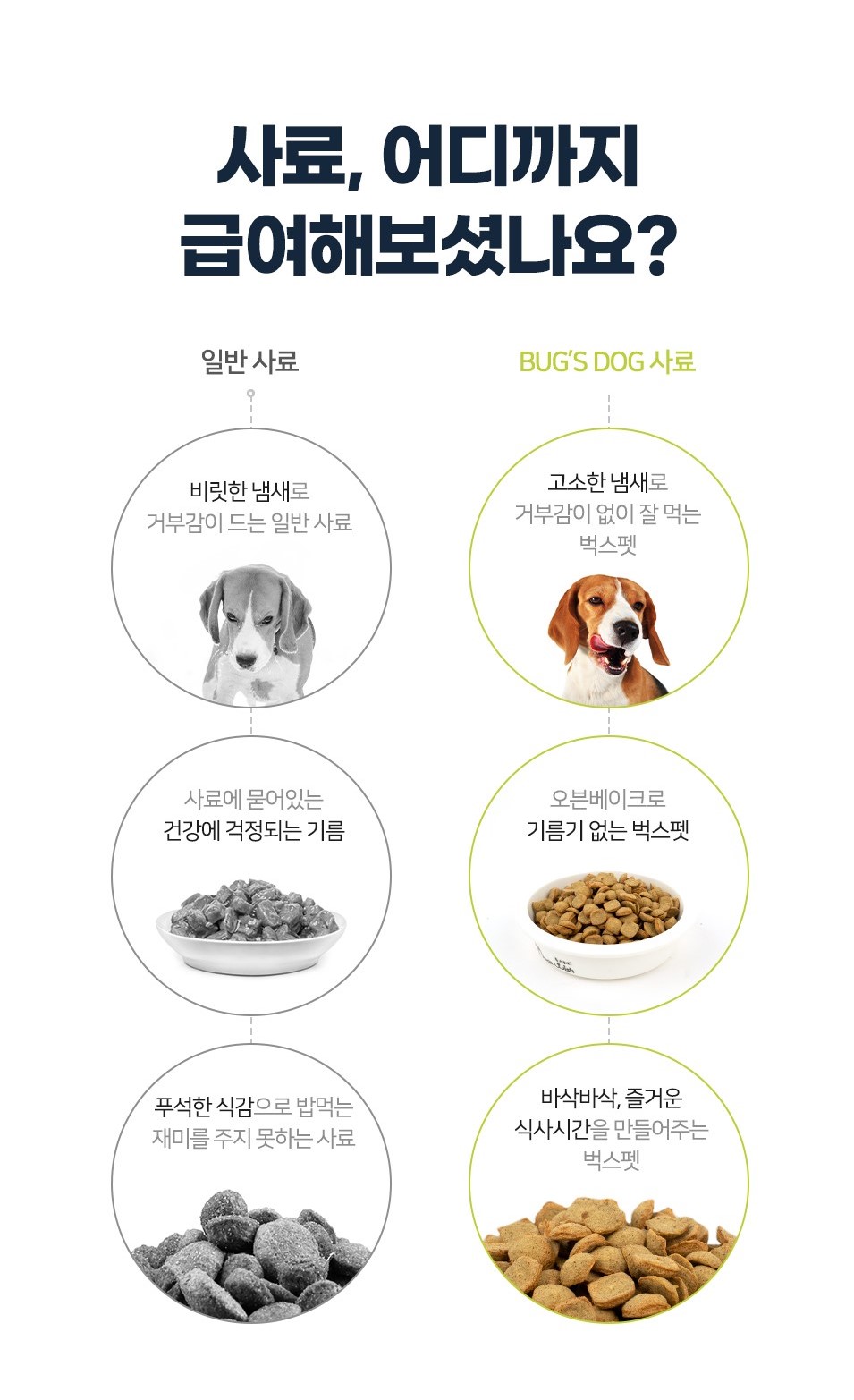 벅스독 오리지널 샘플 30g(사입전용)
