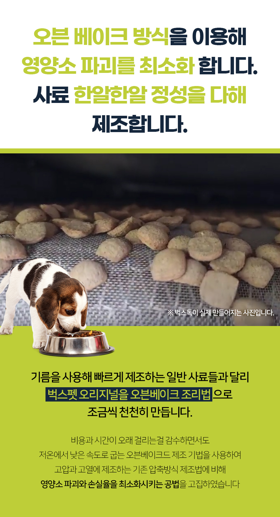 벅스독 오리지널 샘플 30g(사입전용)
