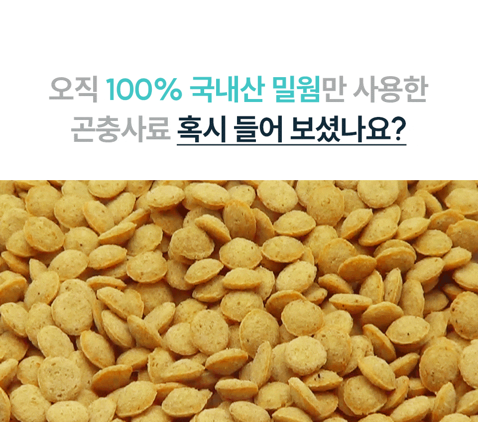 벅스독 프리미엄 이더블 인섹트 샘플 30g(위탁전용)