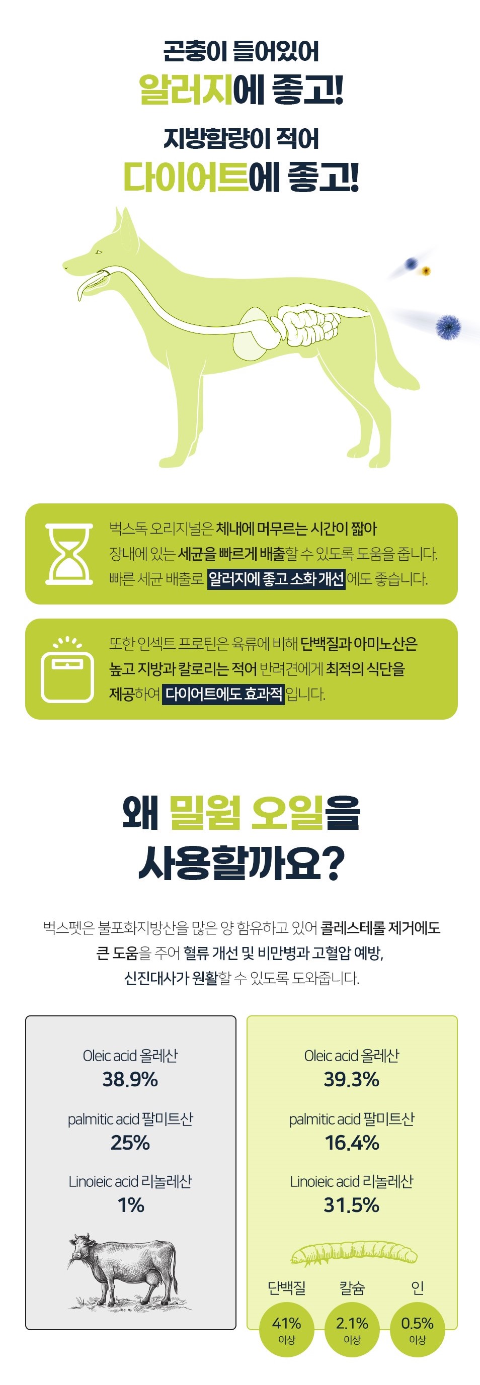 벅스독 오리지널 샘플 30g(사입전용)