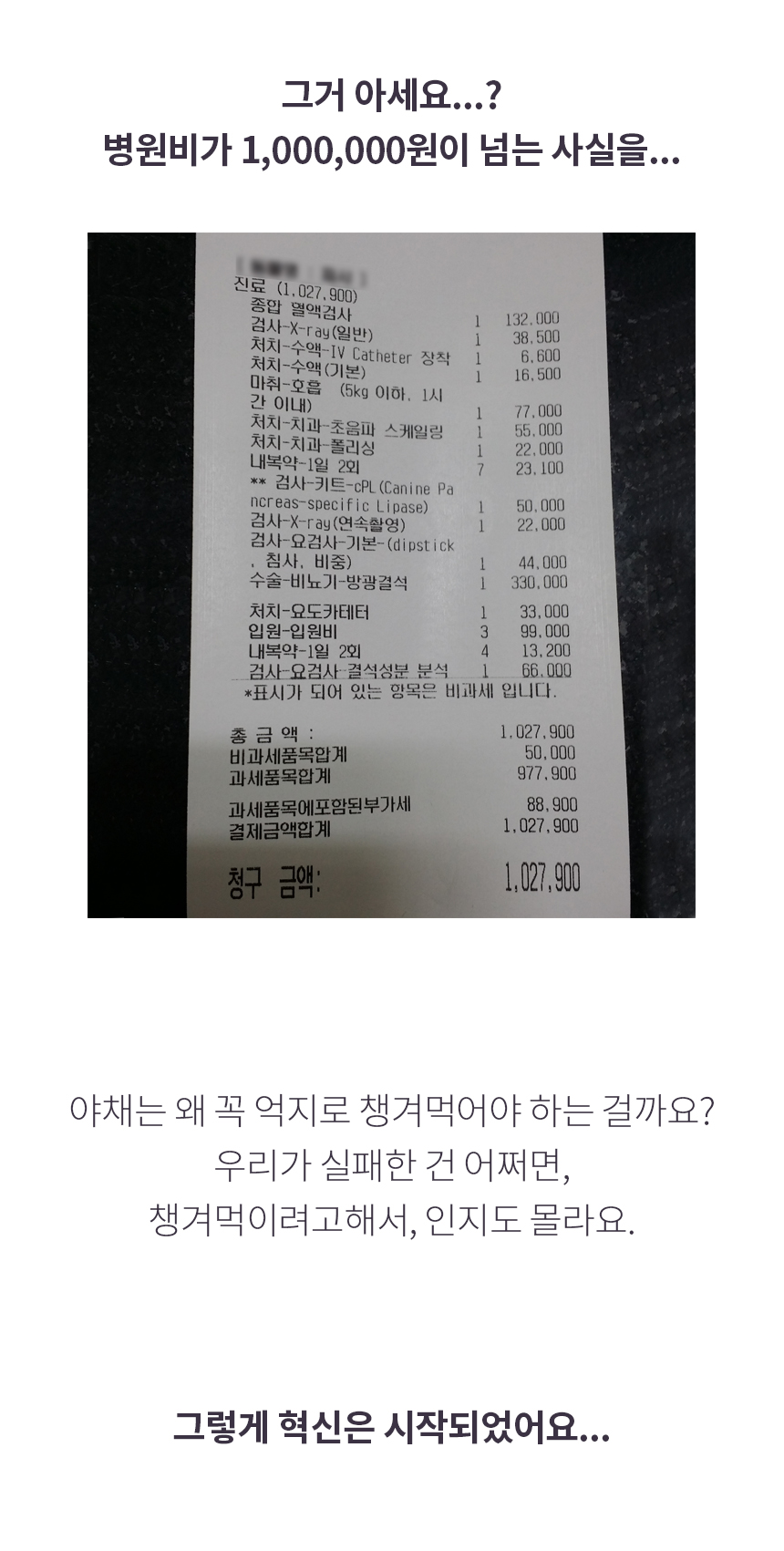 푸드/비건테라피 50g(사입전용)