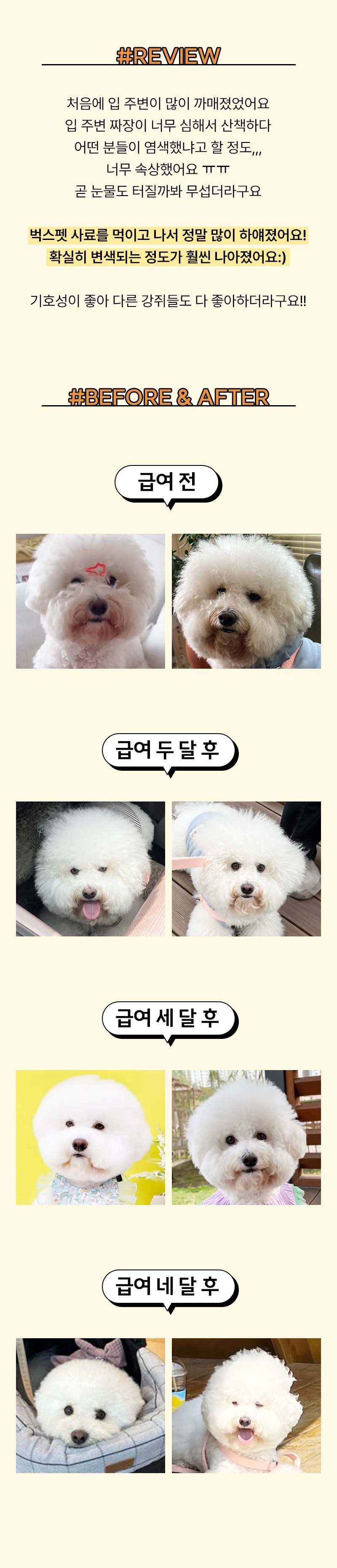 벅스독 비건포뮬러 샘플 30g(사입전용)