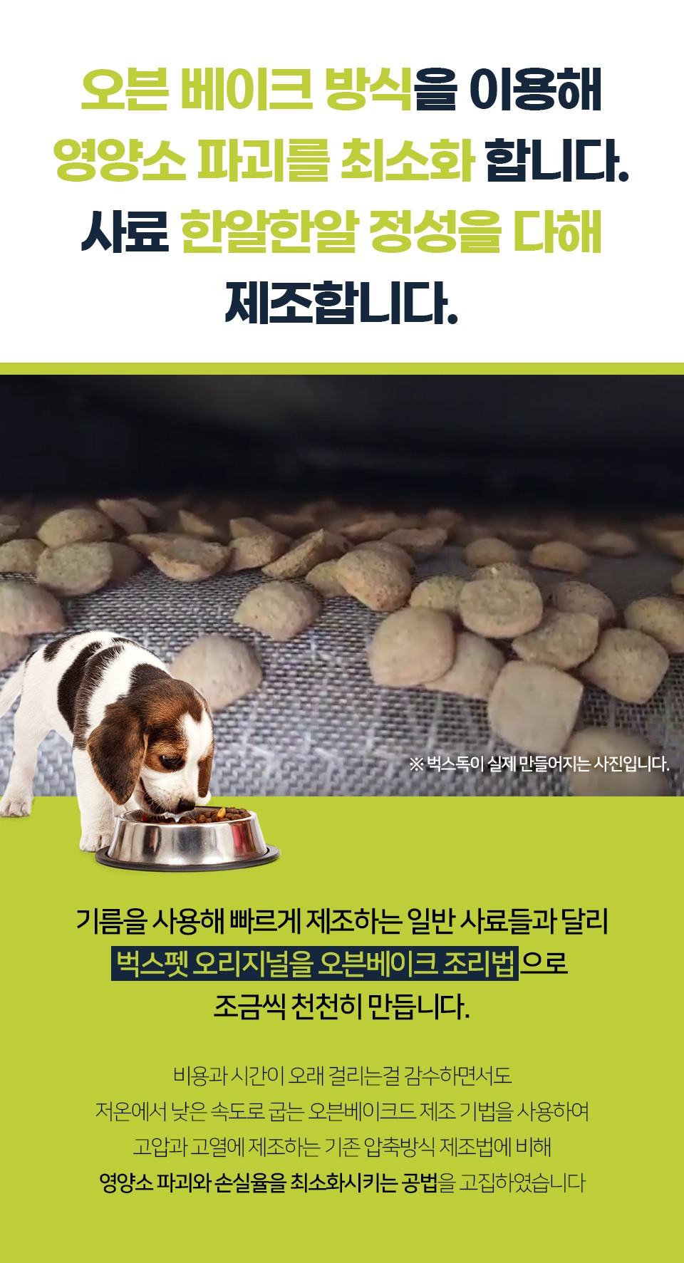 벅스독 오리지널 샘플 30g(사입전용)