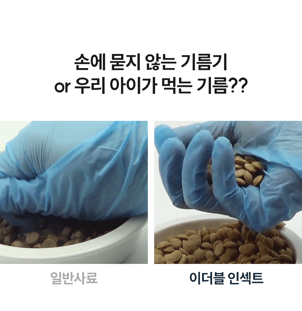 벅스독 프리미엄 이더블 인섹트 샘플 30g(위탁전용)