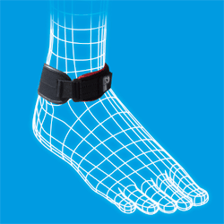 D-LINE 발목 선수 균형 (장착)