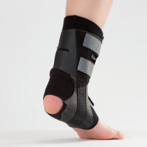 드래곤 플라이 DX (후면)