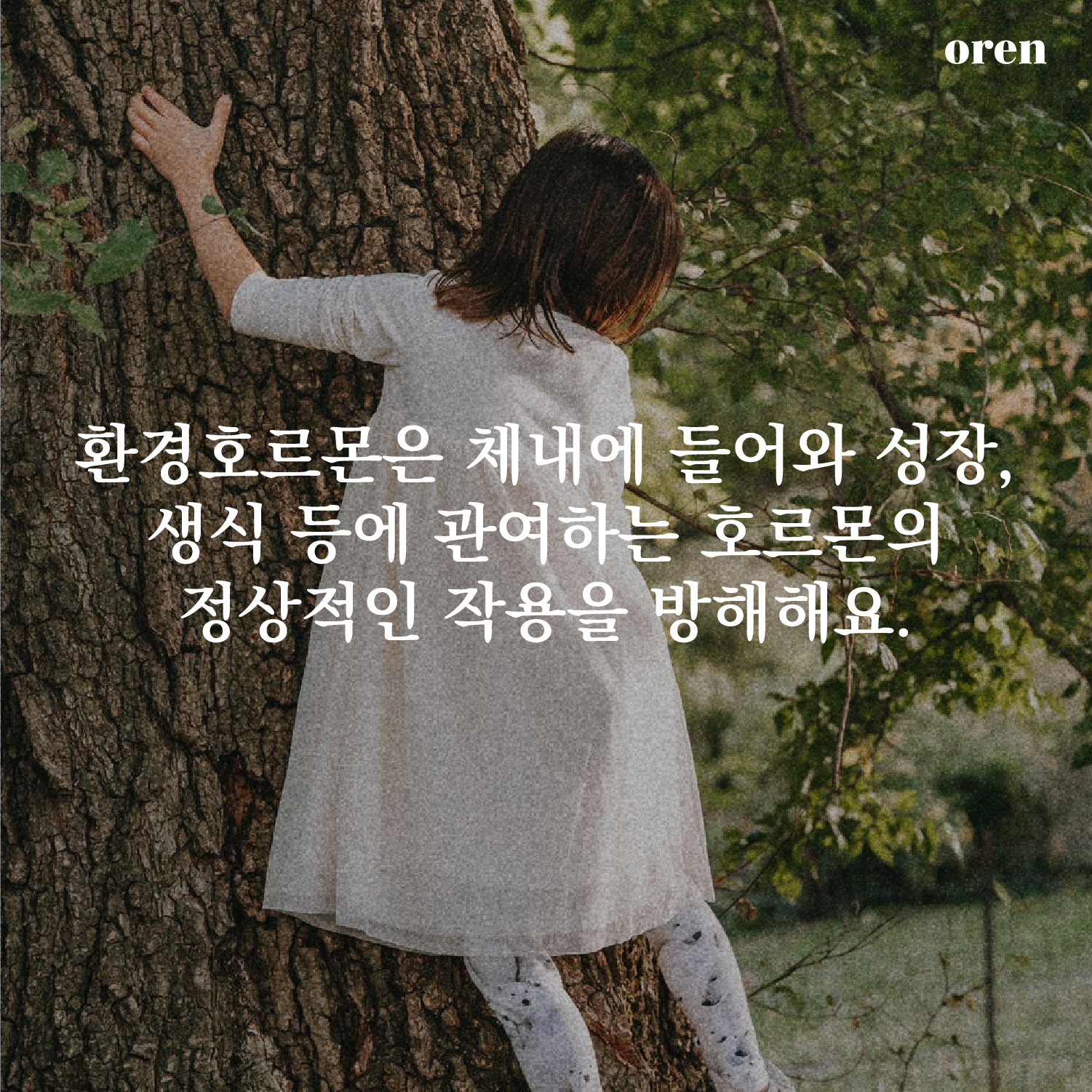 005b5e3cb77a5.jpg