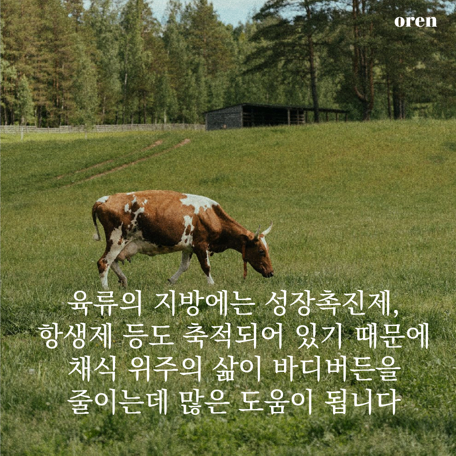 83ff27480cbca.jpg