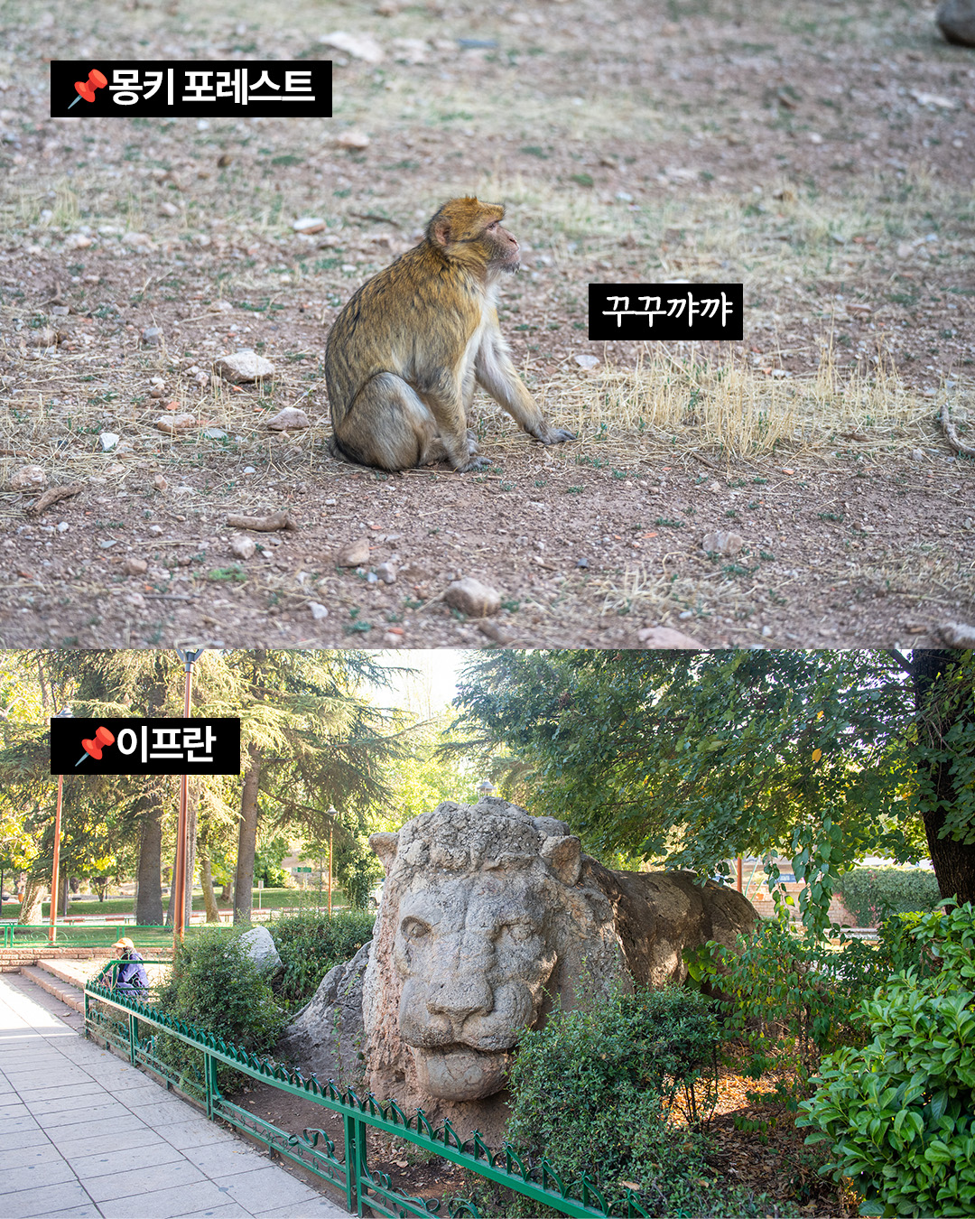 경훈투어 <모로코> 2027 2기