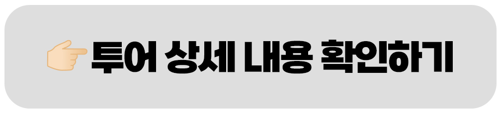 지호호투어 아이슬란드 1기