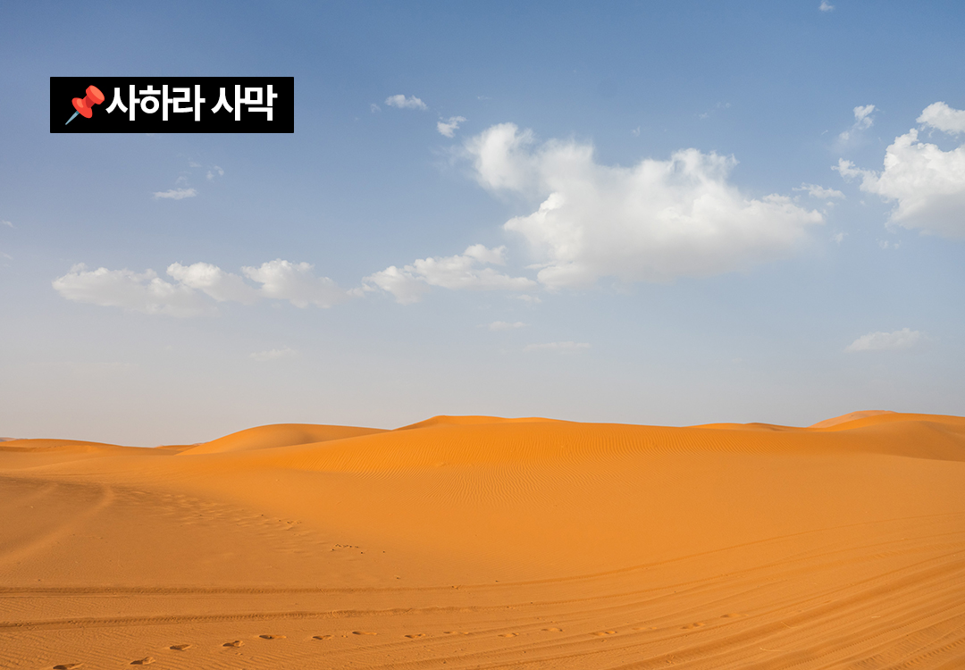 경훈투어 <모로코> 2027 2기
