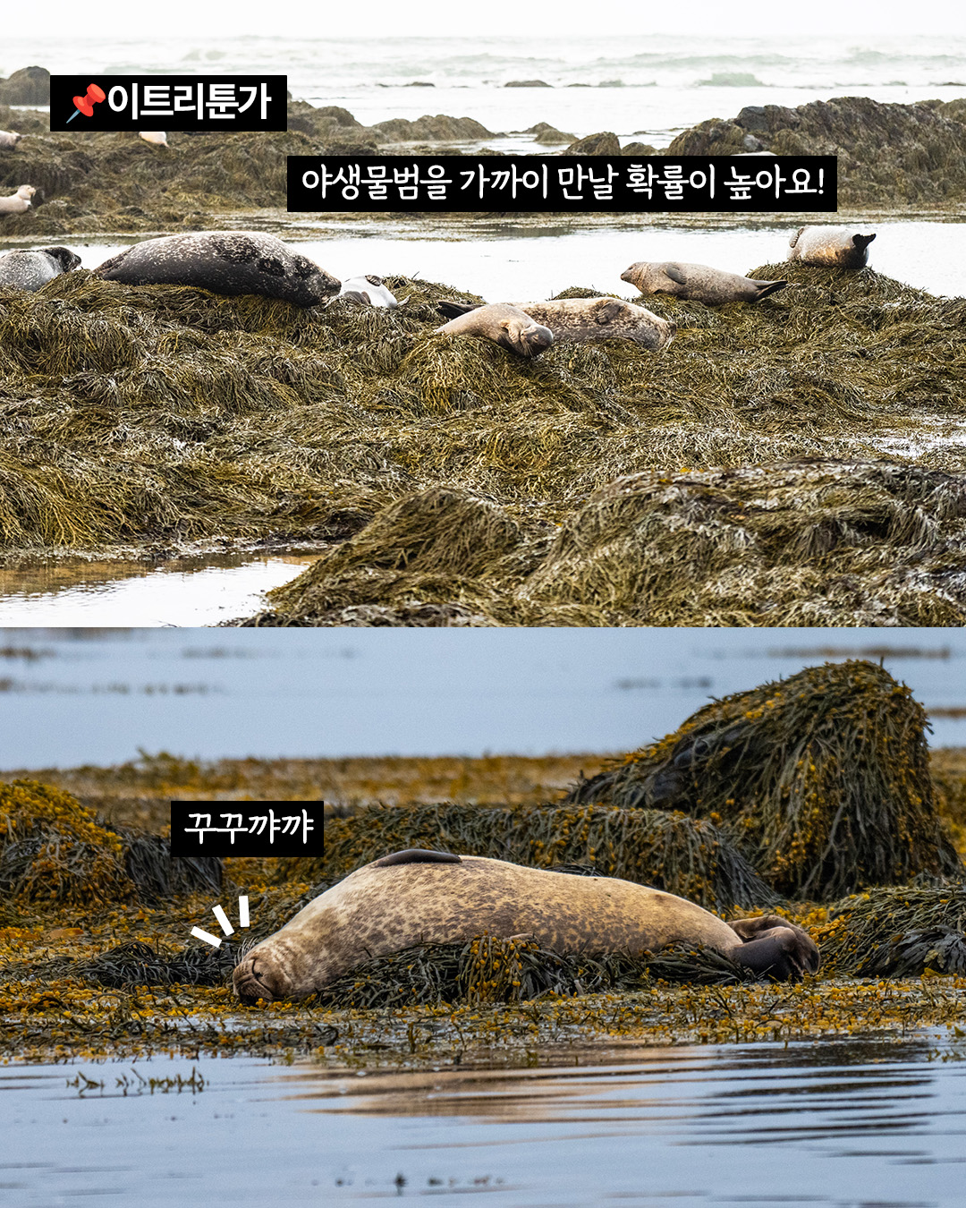 경훈투어 <아이슬란드> 2027 1기