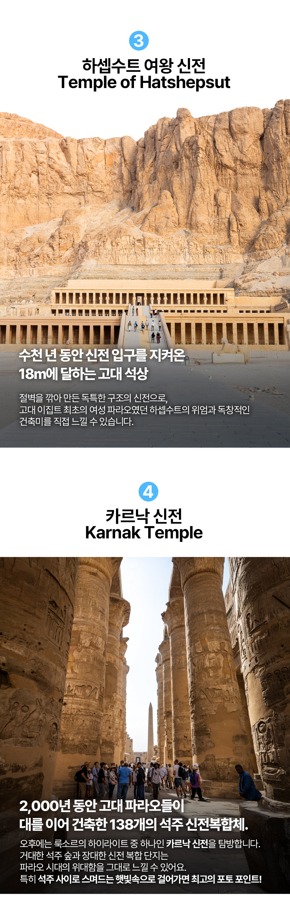 지호호 이집트 투어 2기