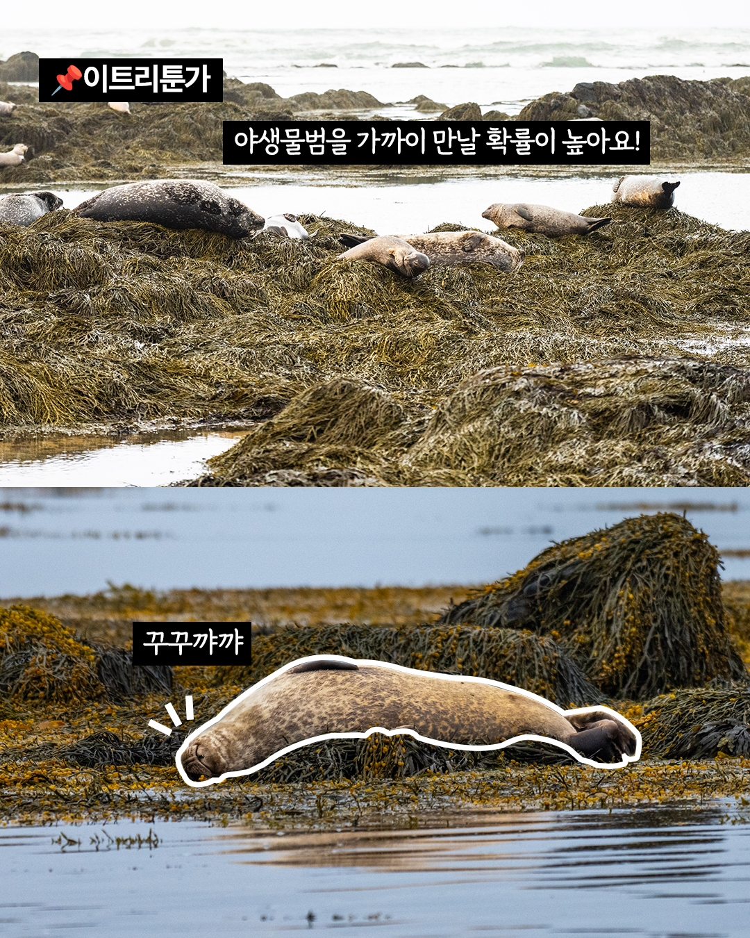 경훈투어 2026 2기 <아이슬란드>