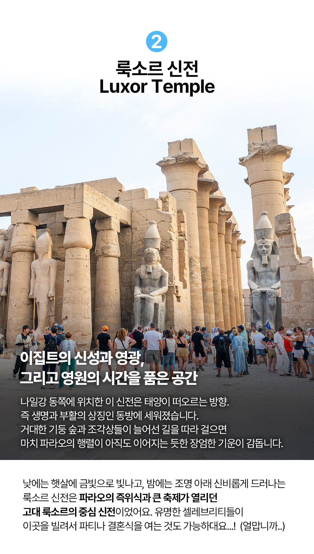 지호호 이집트 투어 2기