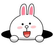 736ee06916024.png