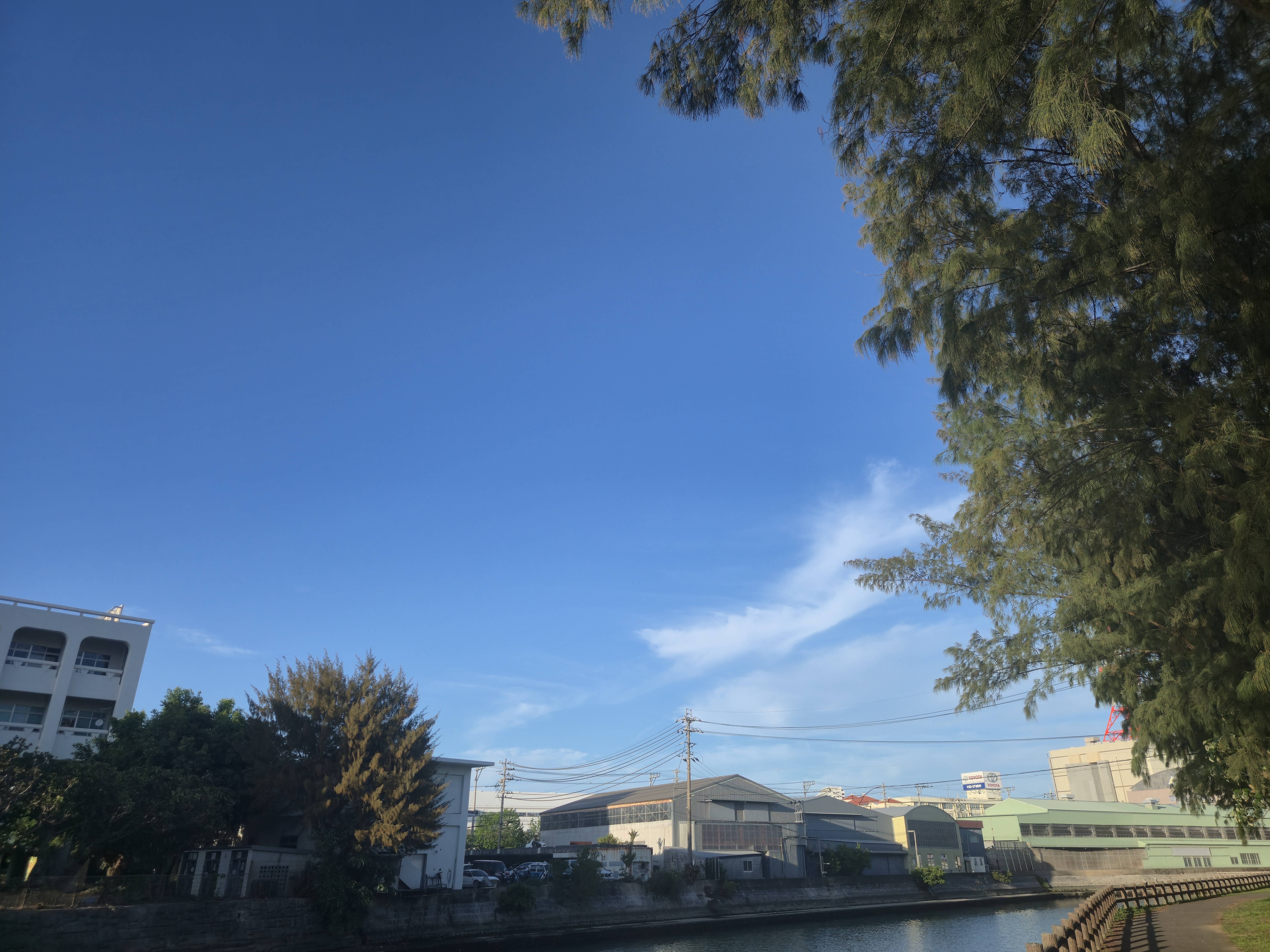 c4990e6c3aa2f.jpg